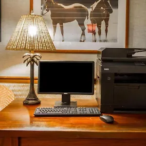 The Equus Hotel Honolulu
